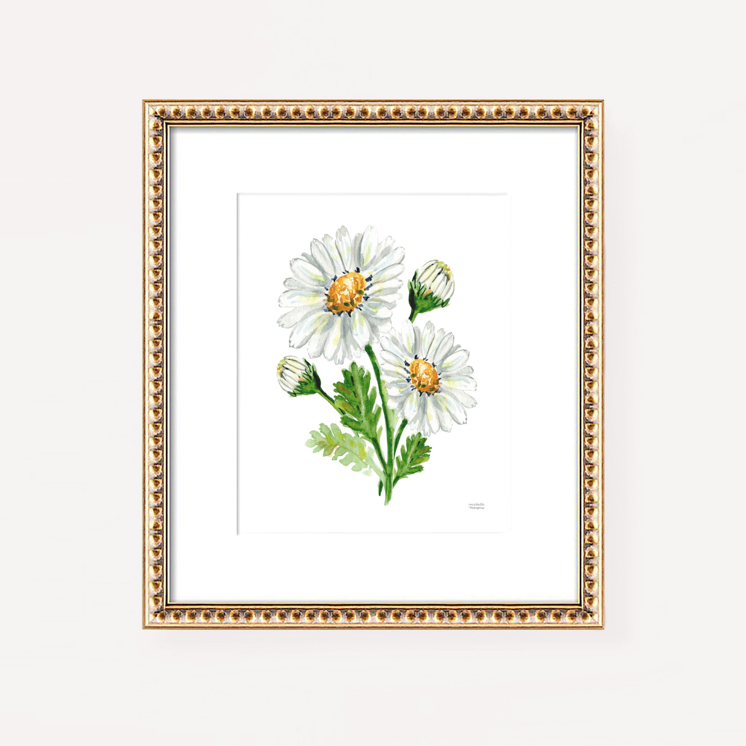 Daisy Flowers Botanical Floral Watercolor Wall Art Print by Michelle Mospens