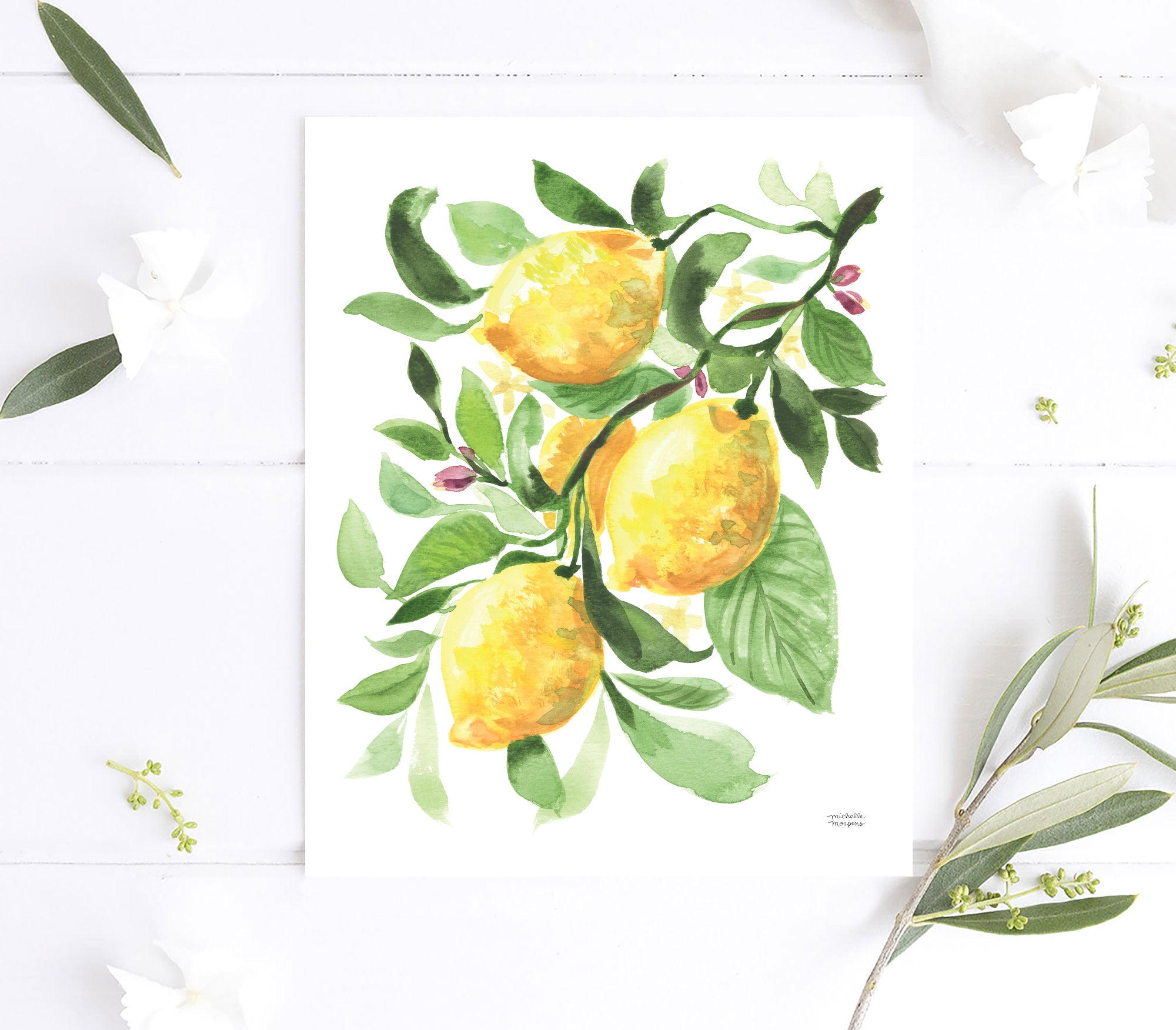 Fruit Watercolor Kitchen Wall Art Prints Set of 4 Unframed Art