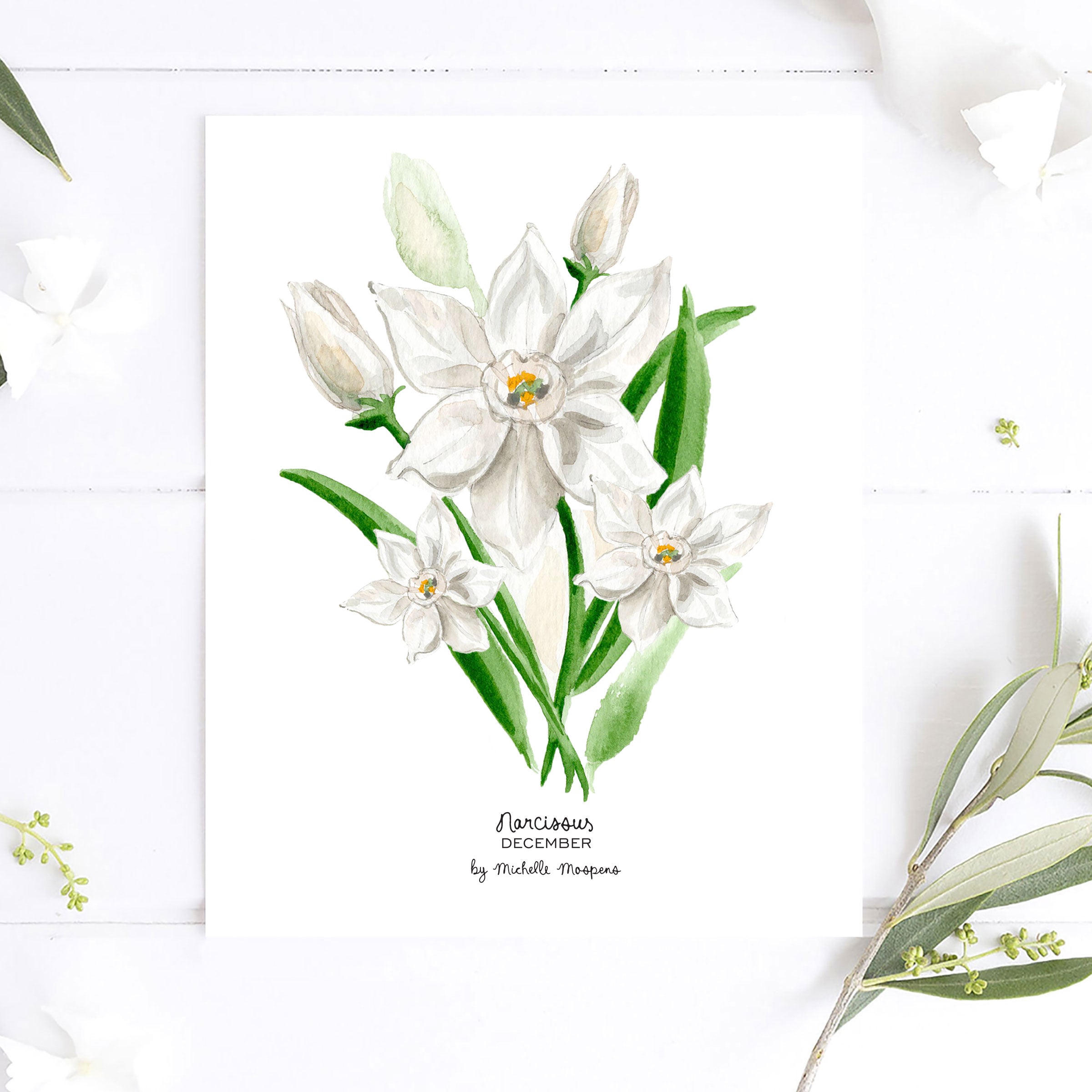 Narcissus December Birth Flower Botanical Watercolor Wall Art Print by Michelle Mospens