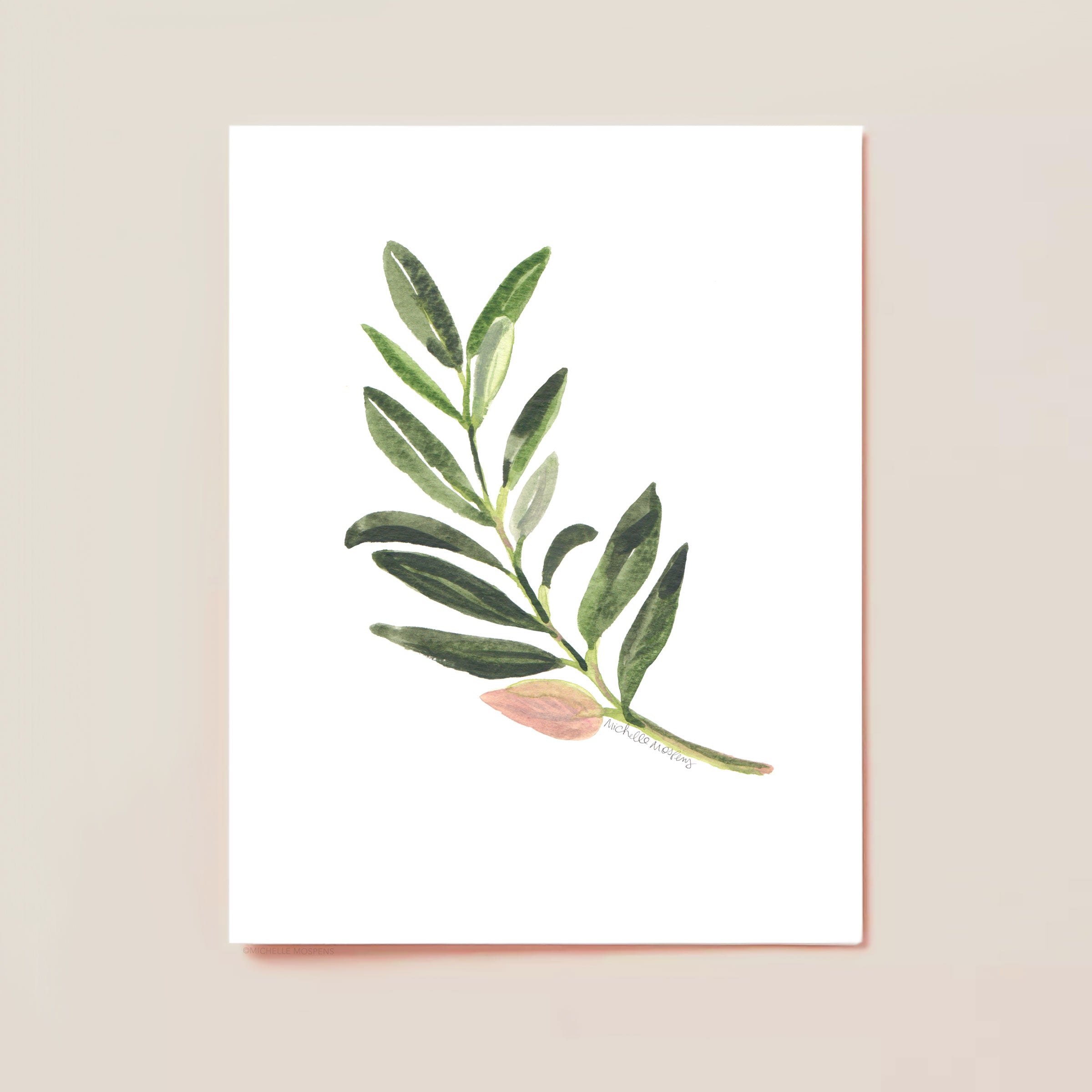 Watercolor Olive Branch Greenery No1 Card Set by Michelle Mospens