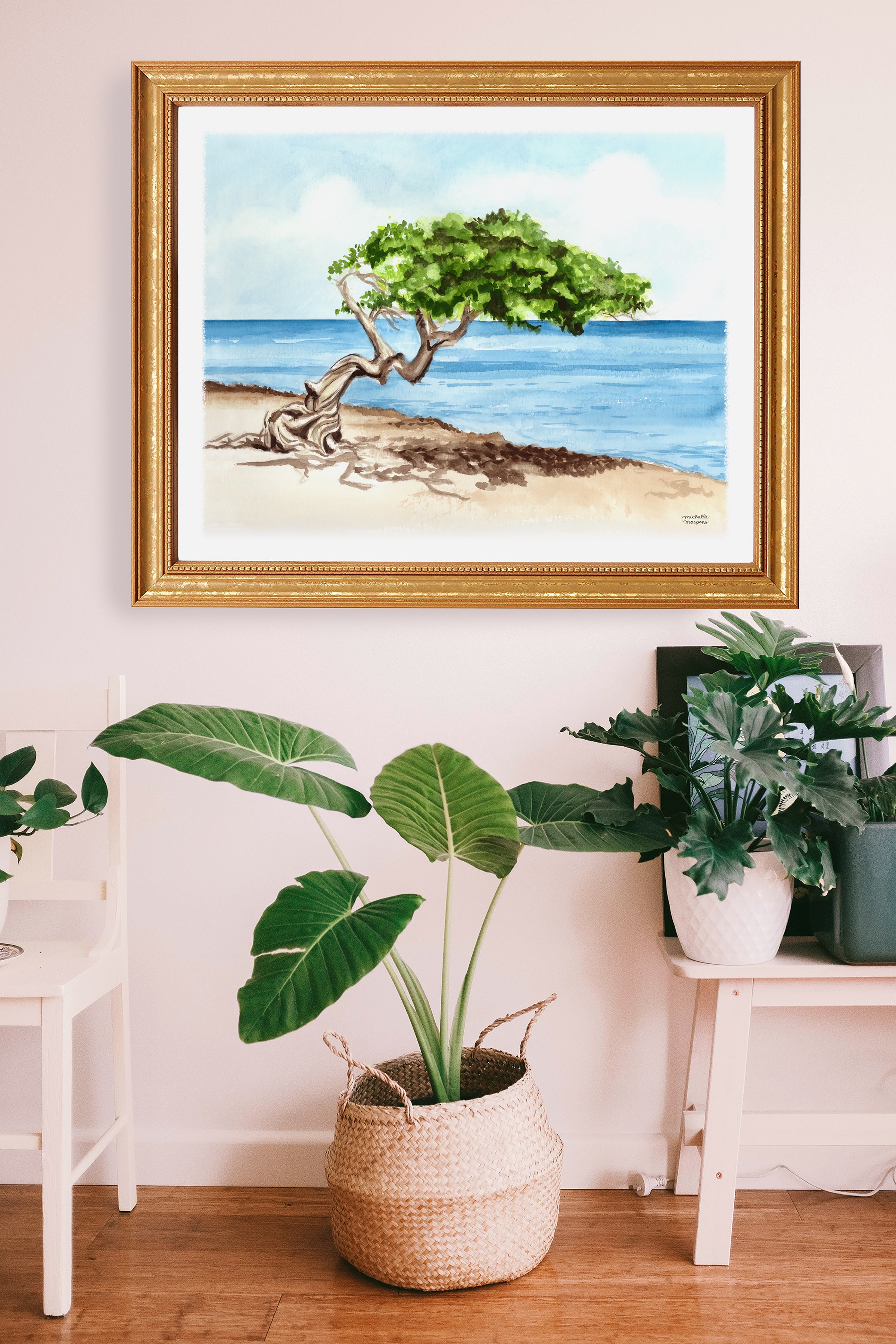 Aruba Divi Tree Watercolor Wall Art Print Coastal Decor