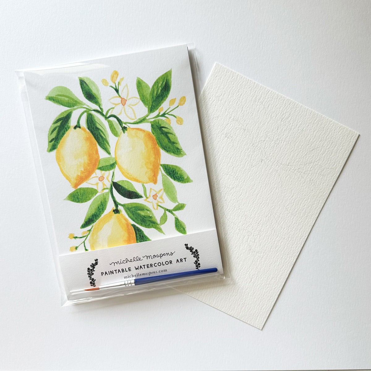 Paintable Watercolor Art Kit, 5x7 DIY Watercolor Lemons Painting | Michelle Mospens