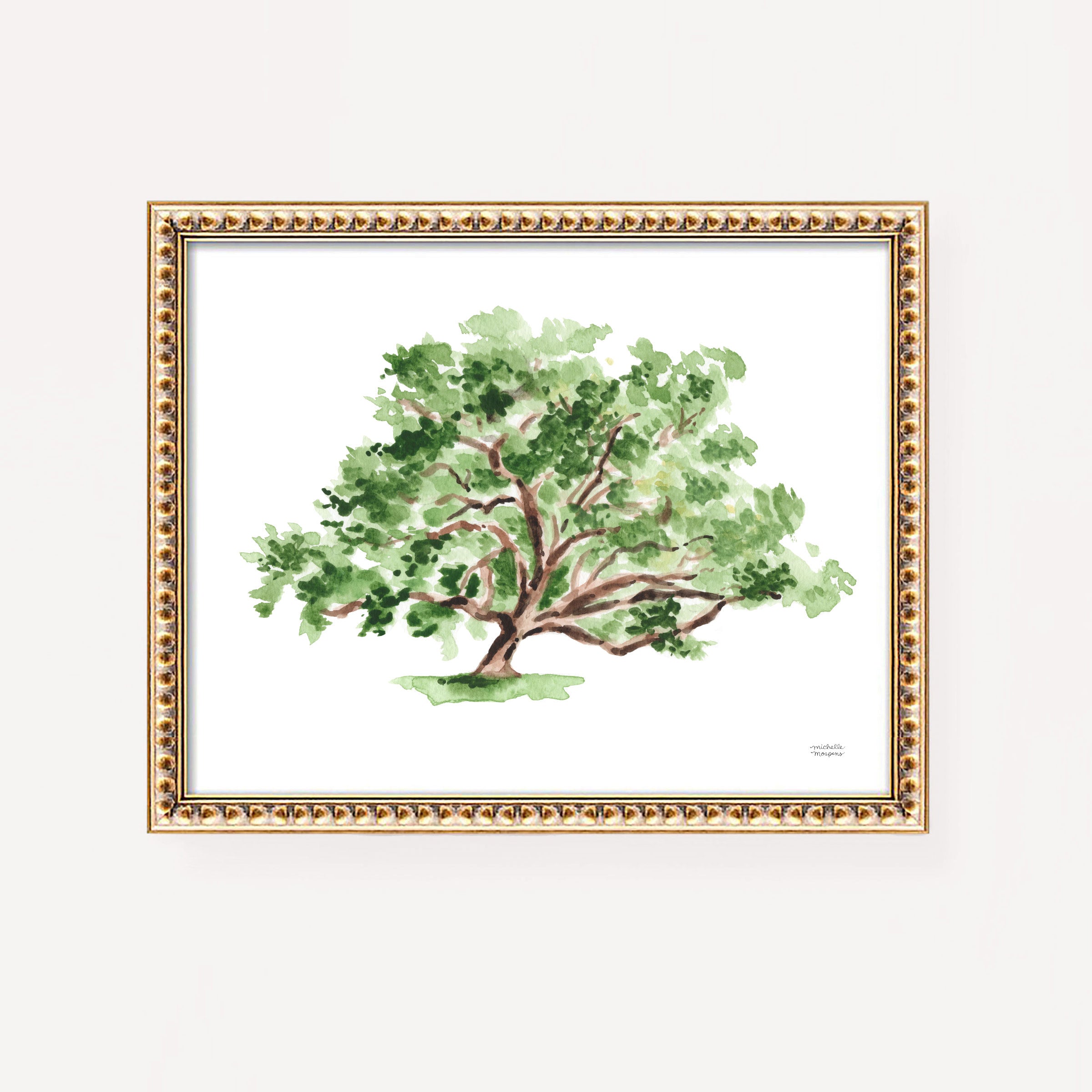Southern Oak Tree watercolor coastal wall art print by artist Michelle Mospens