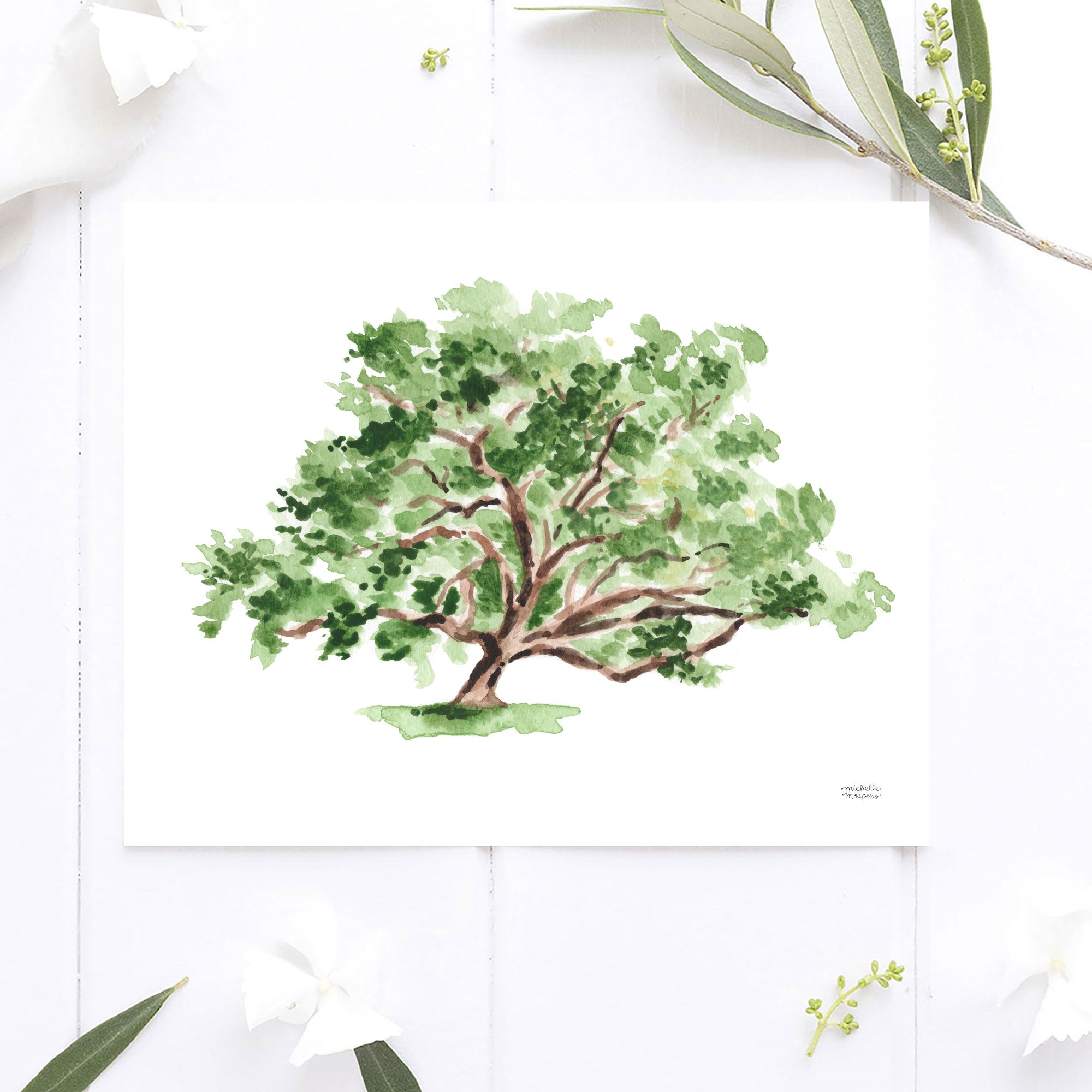 Southern Oak Tree watercolor coastal wall art print by artist Michelle Mospens