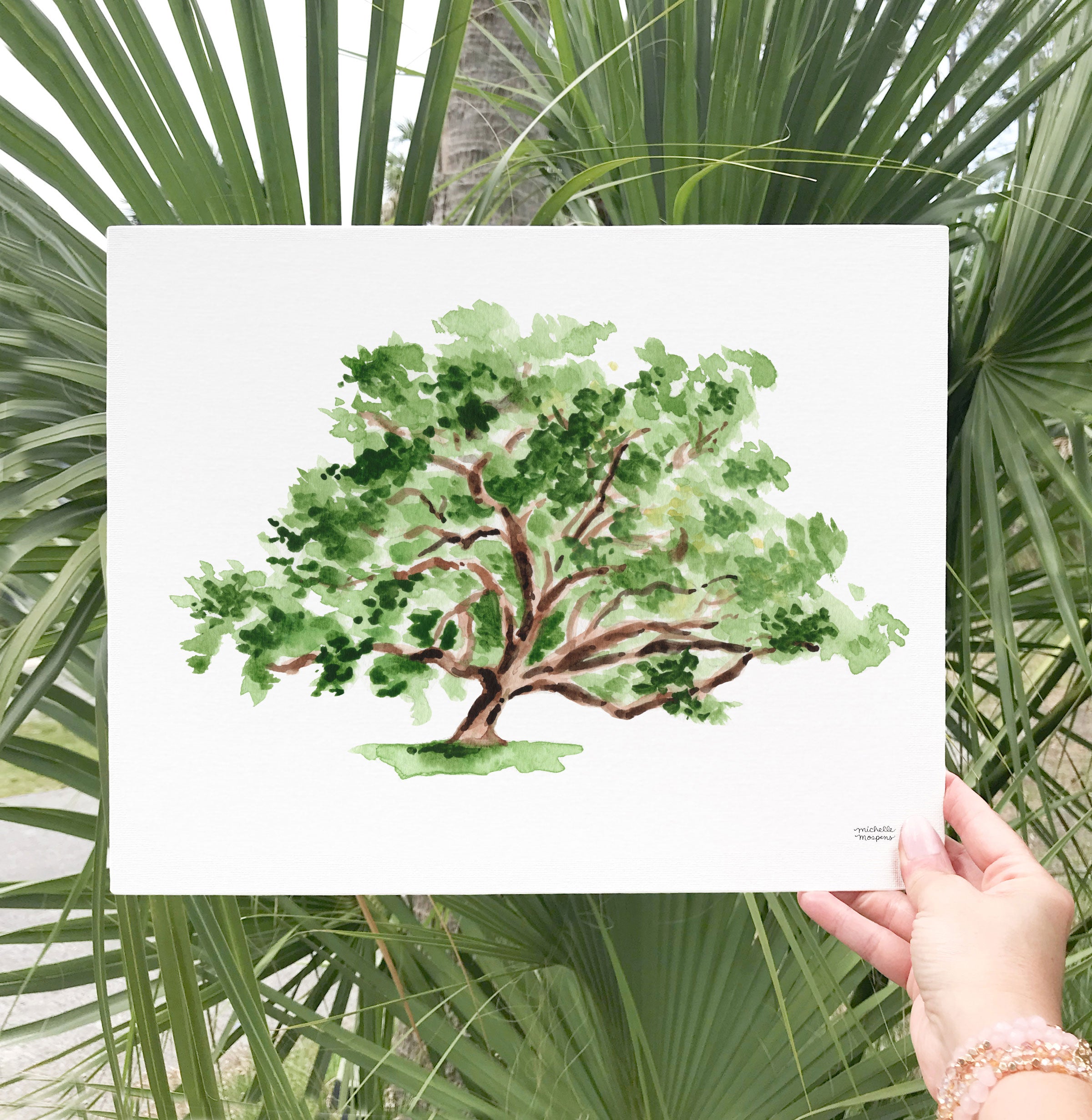 Southern Oak Tree watercolor coastal wall art print by artist Michelle Mospens