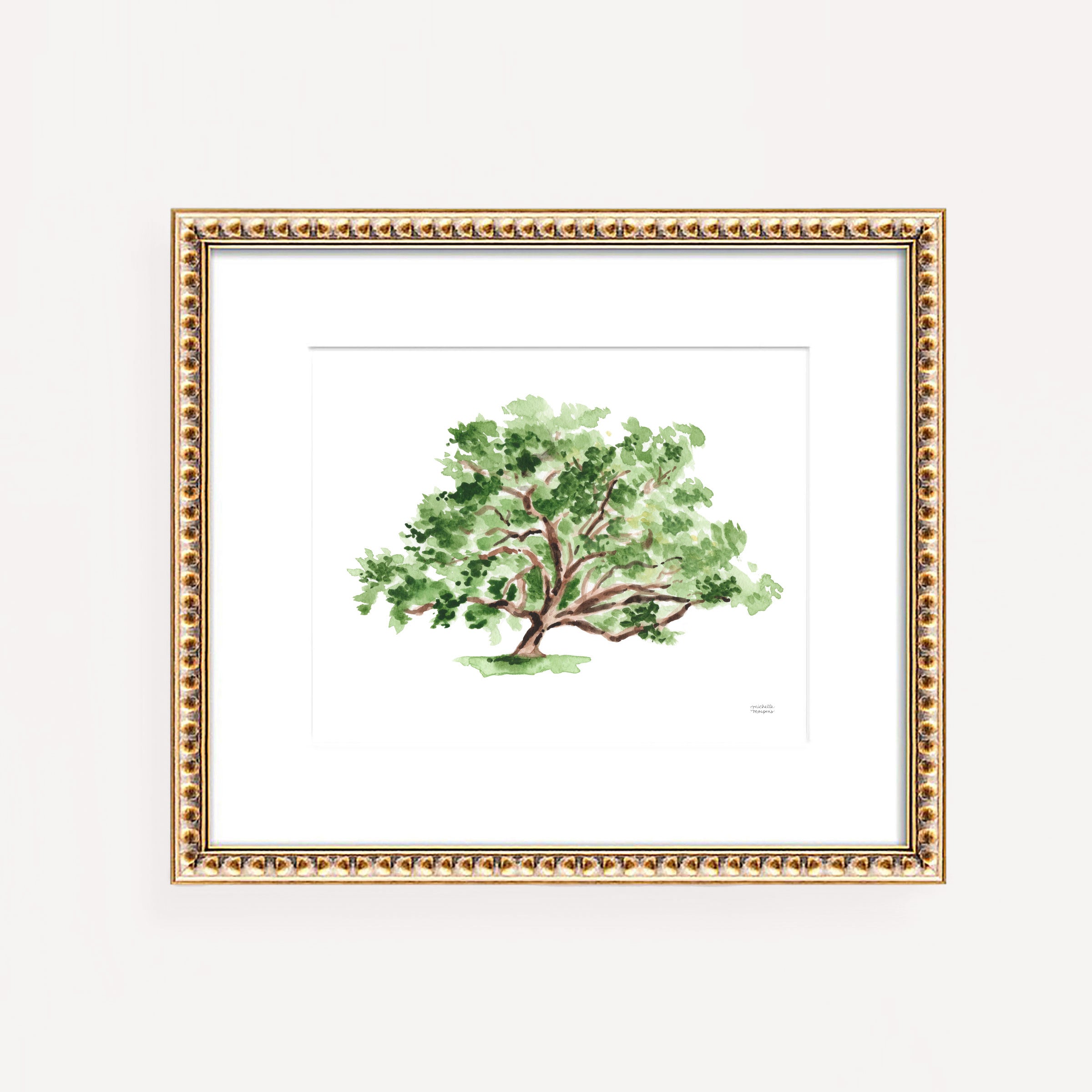 Southern Oak Tree watercolor coastal wall art print by artist Michelle Mospens