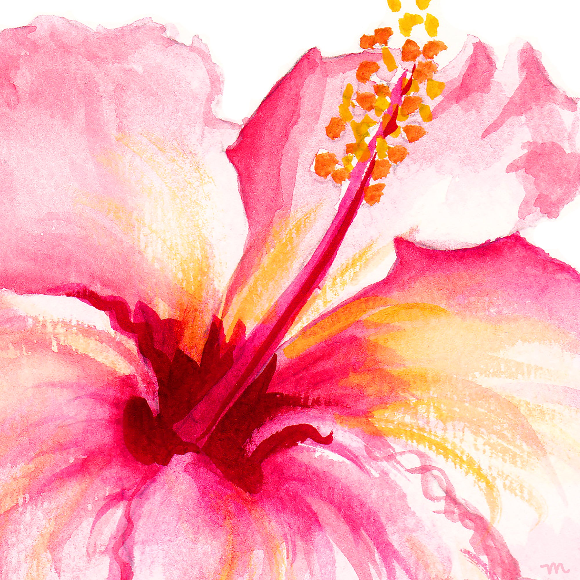 A watercolor painting of a pink hibiscus flower with a yellow center. The flower is in the center of the image and is surrounded by white space. The artist's signature is in the bottom right corner of the image.