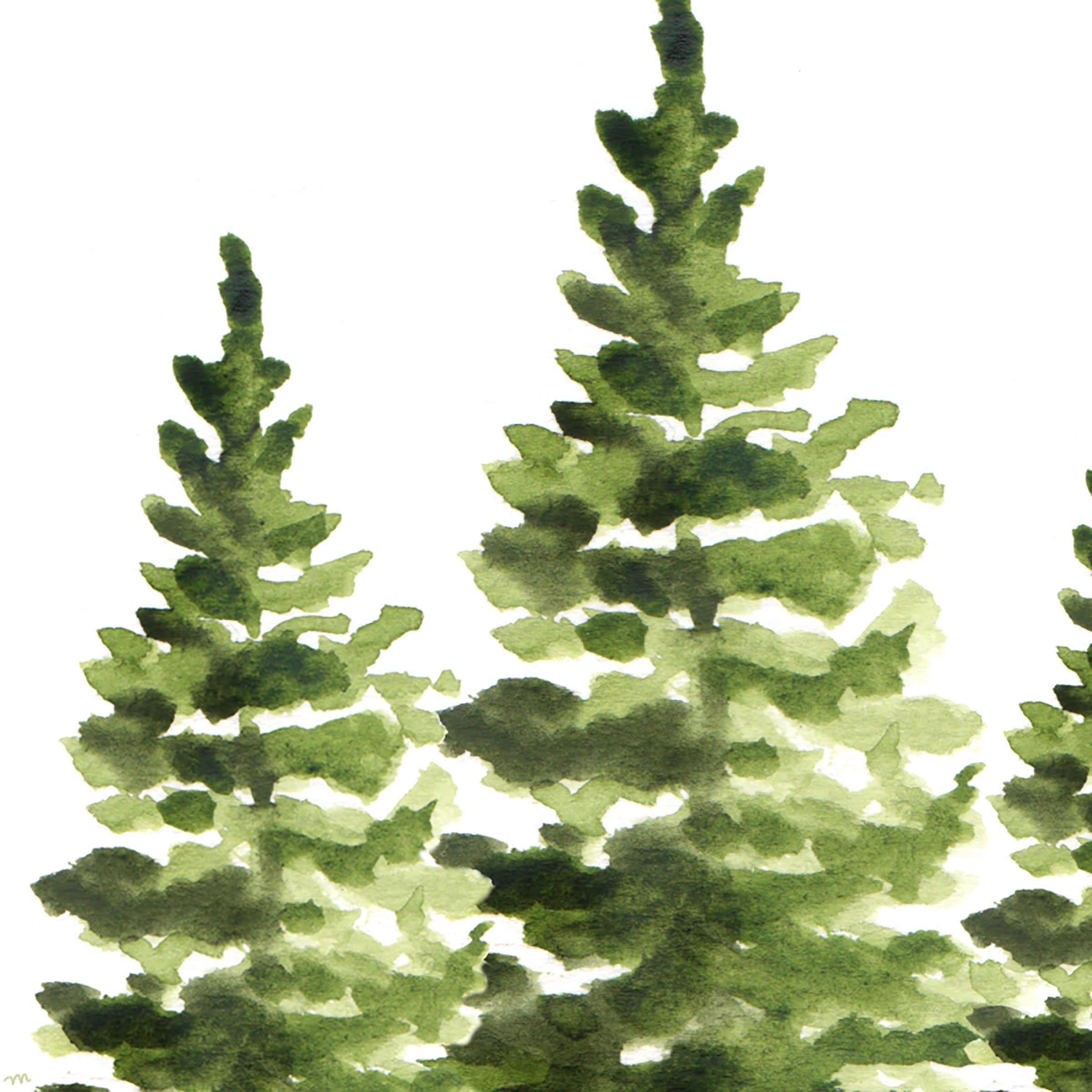 Watercolor Evergreen Pine Trees Wall Art Print
