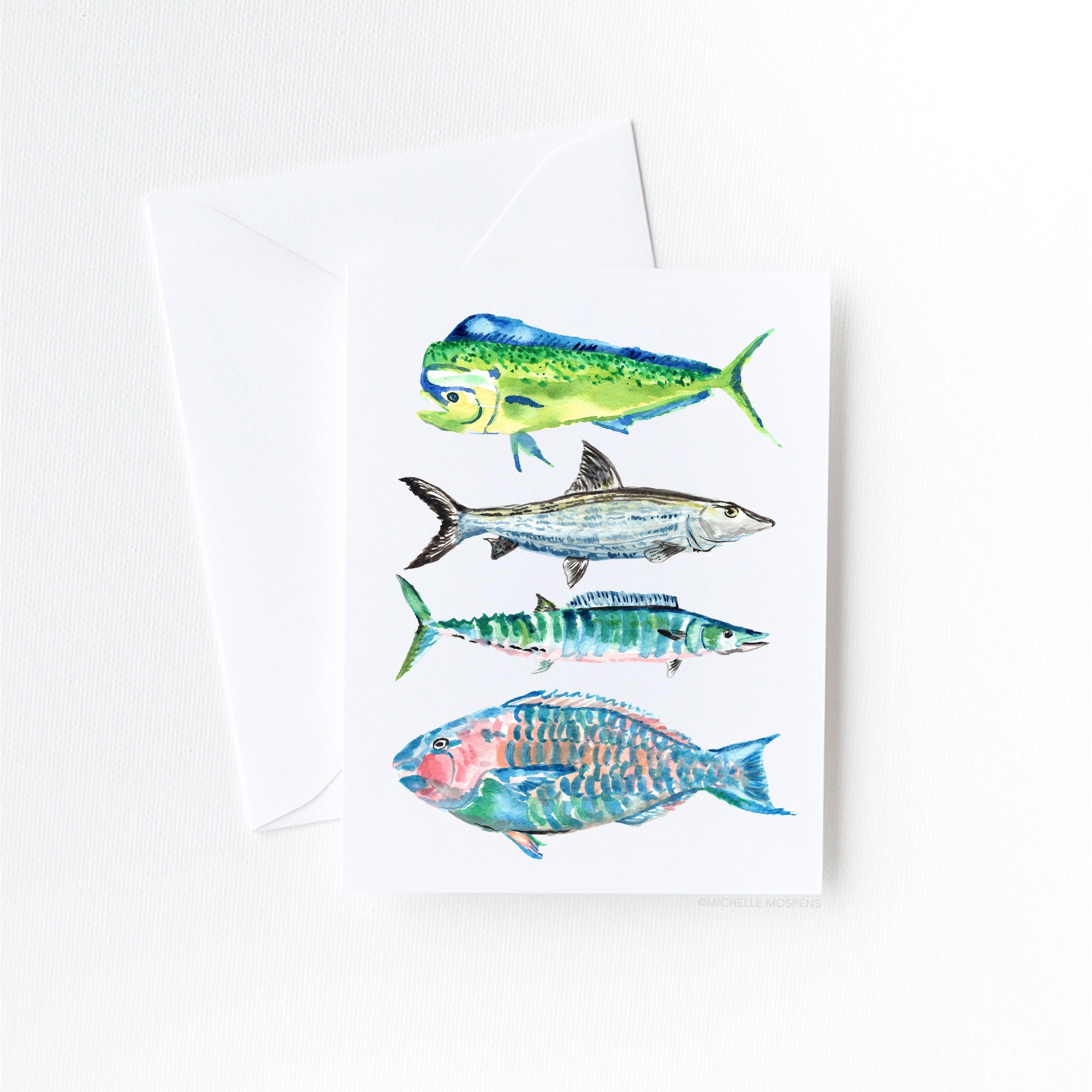 Illustrated Fish Note Cards Set