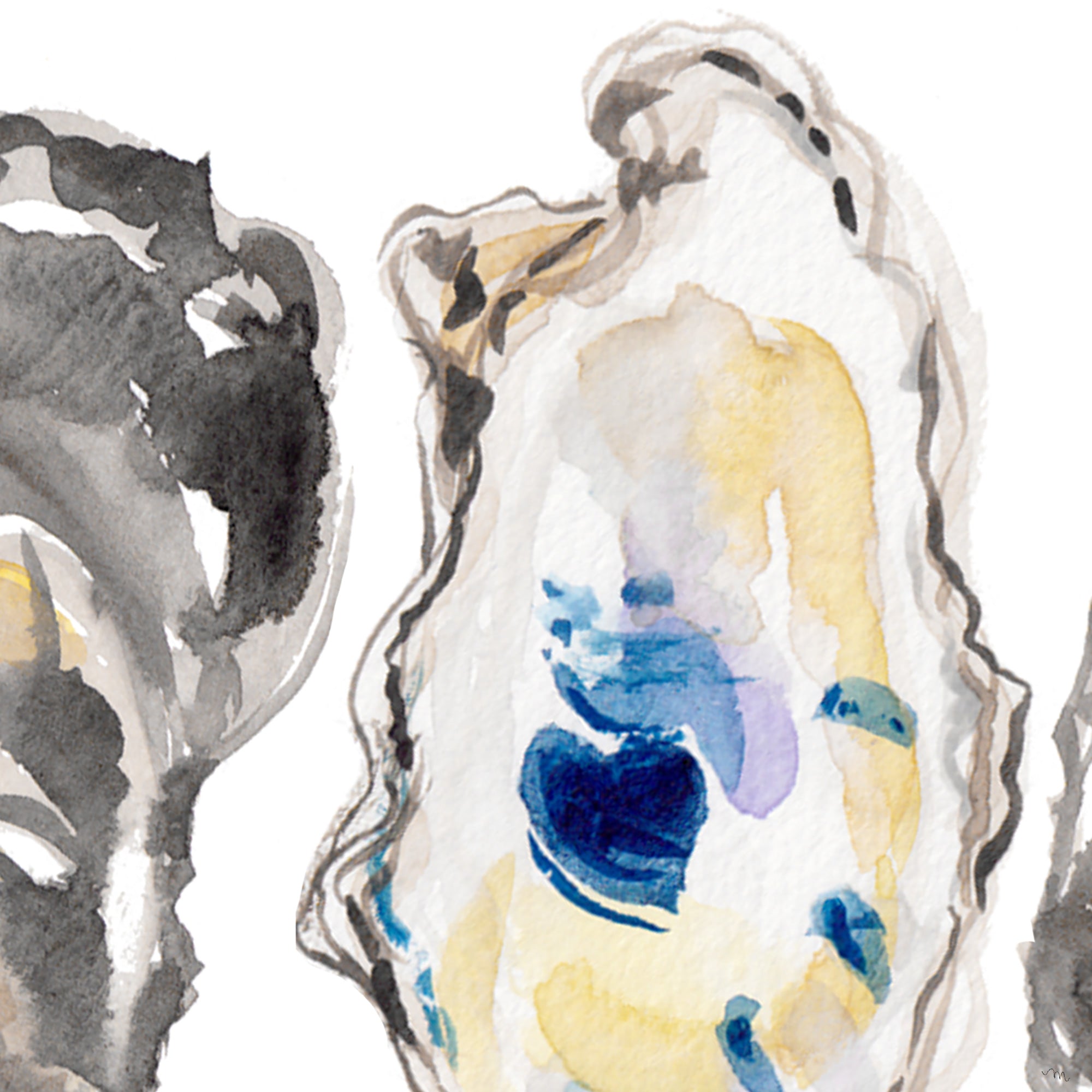 Coastal Wall Decor: Watercolor oyster shells painting wall art print by Michelle Mospens.