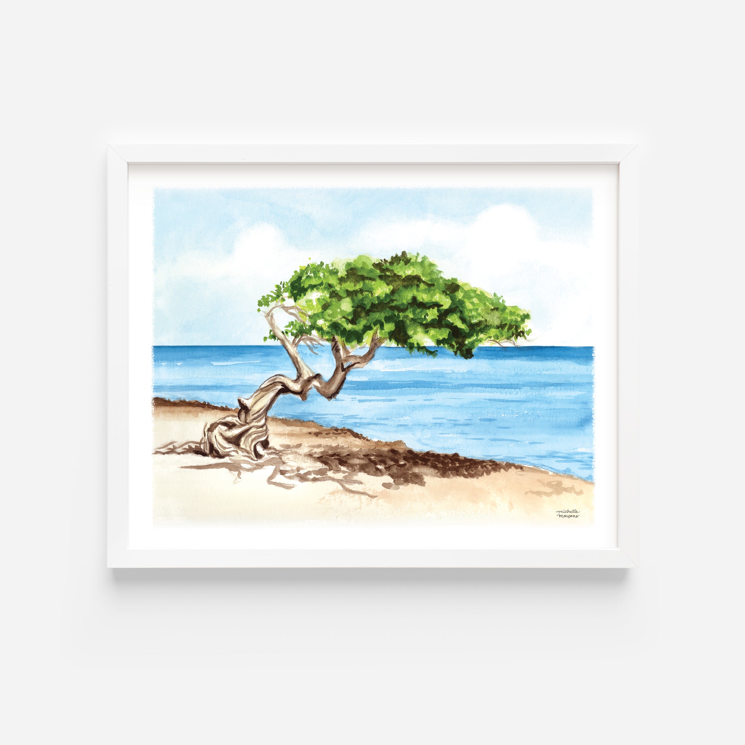 Aruba Divi Tree Watercolor Wall Art Print Coastal Decor