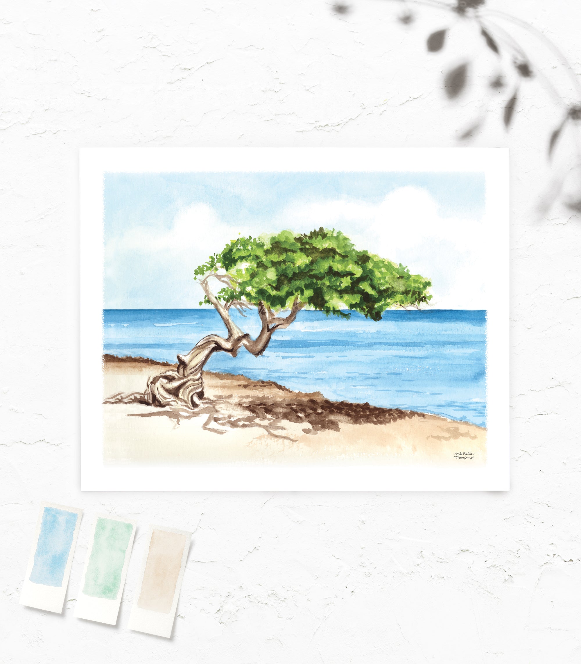 Aruba Divi Tree Watercolor Wall Art Print Coastal Decor