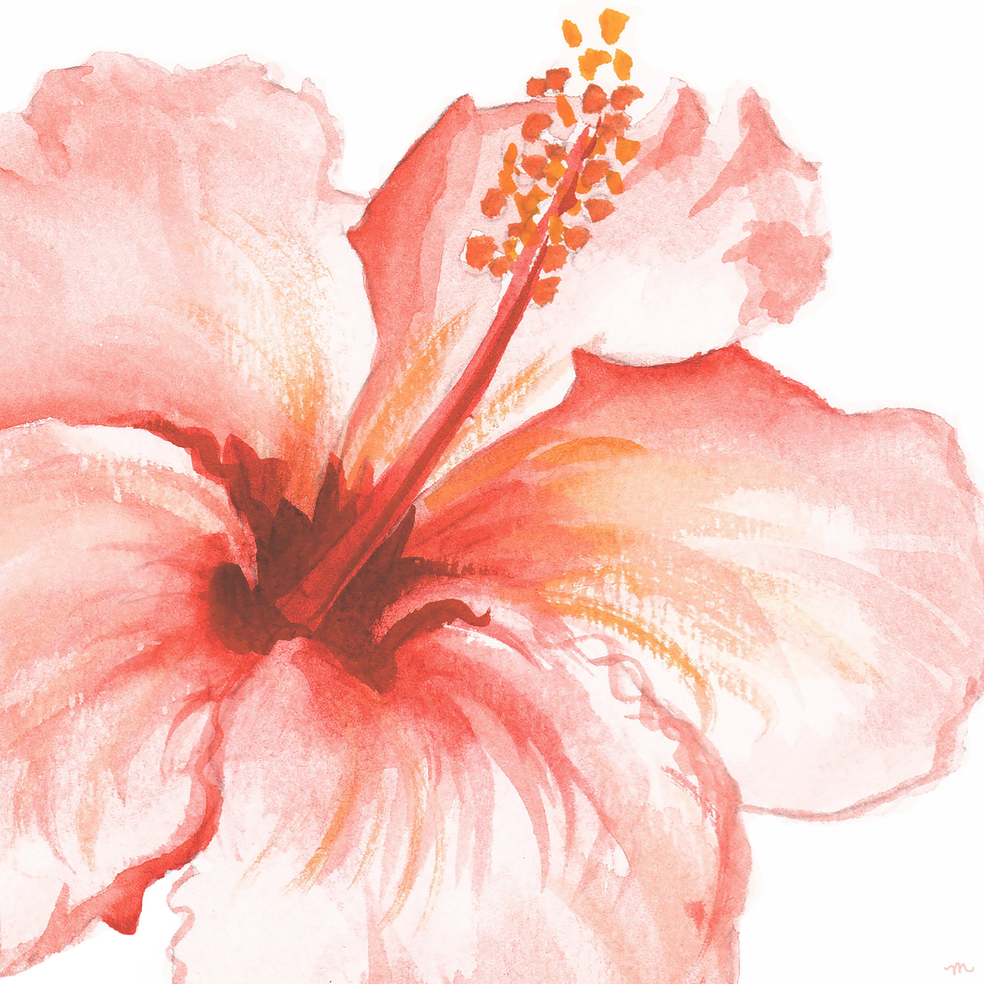 Tropical Coral Hibiscus Flower Watercolor Print by artist Michelle Mospens