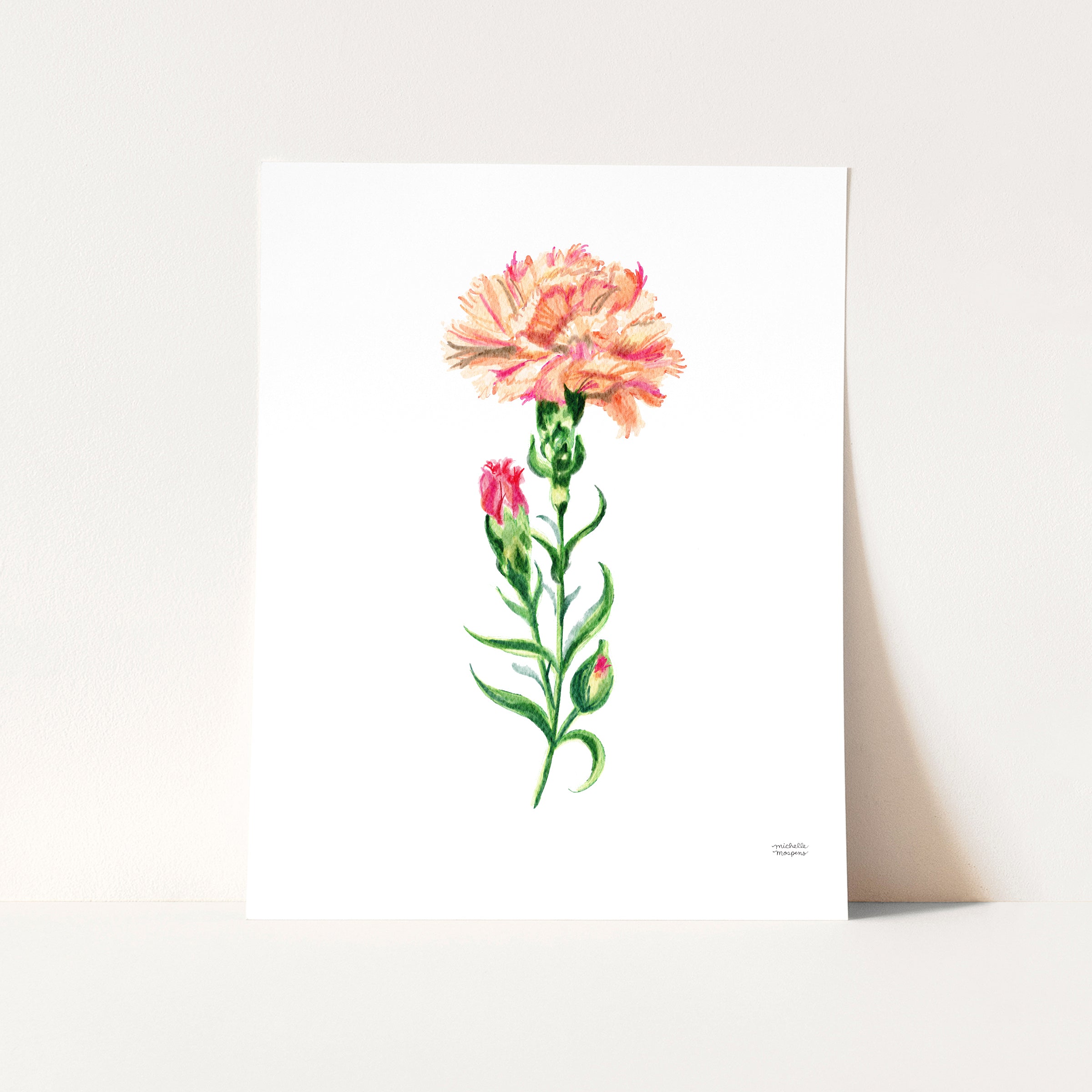 Peach Carnation Flower Art Print Unframed