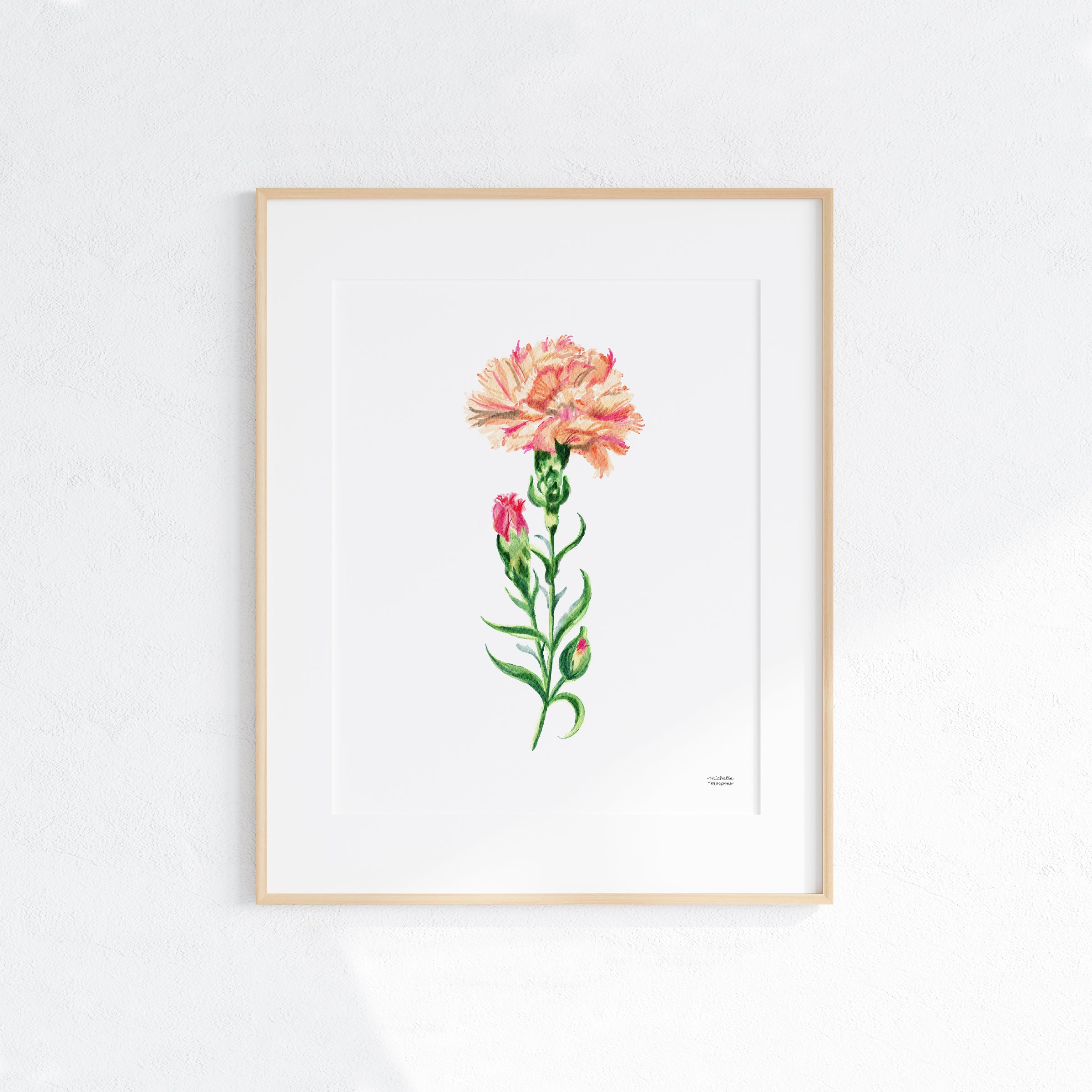 Peach Carnation Flower Art Print Unframed