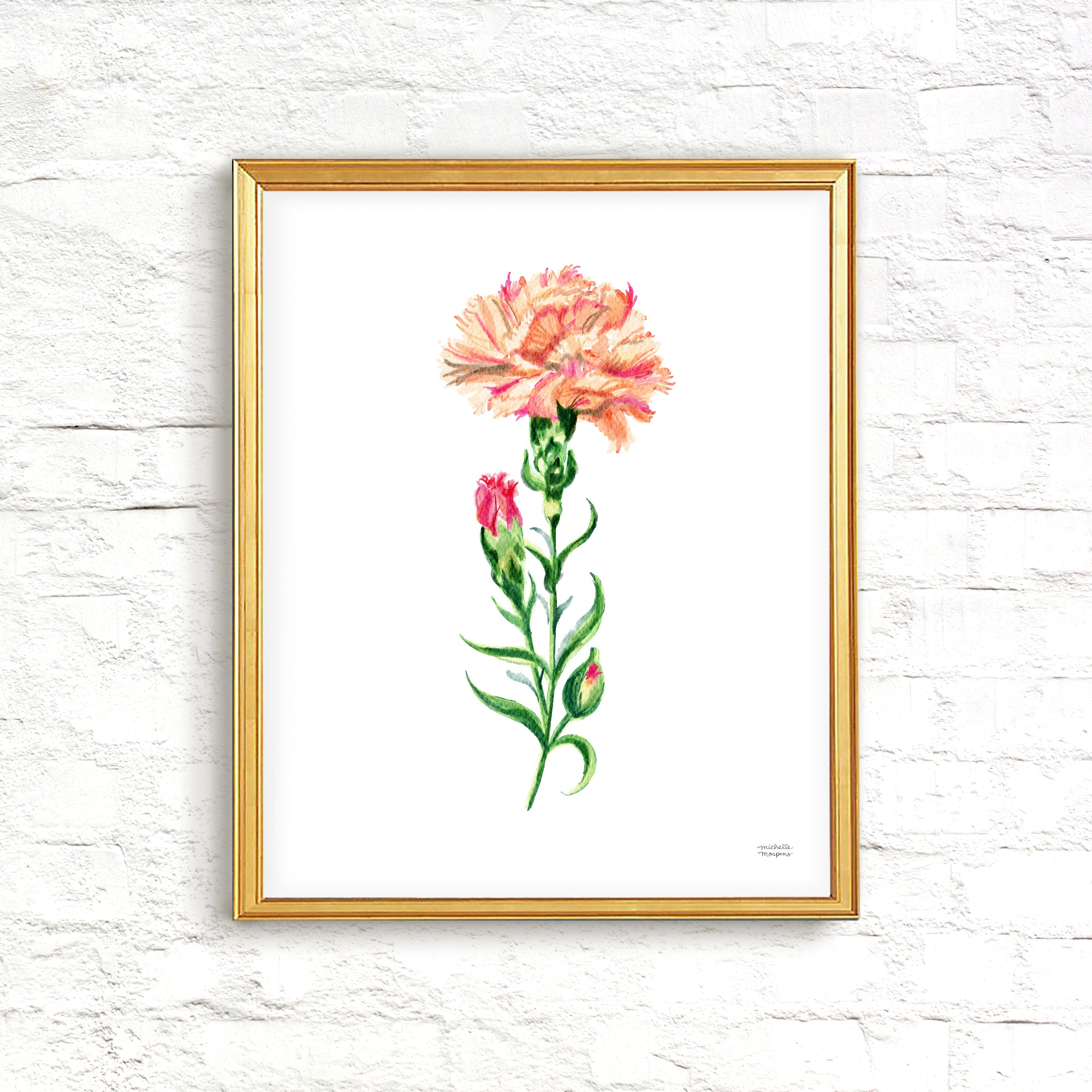 Peach Carnation Flower Art Print Unframed