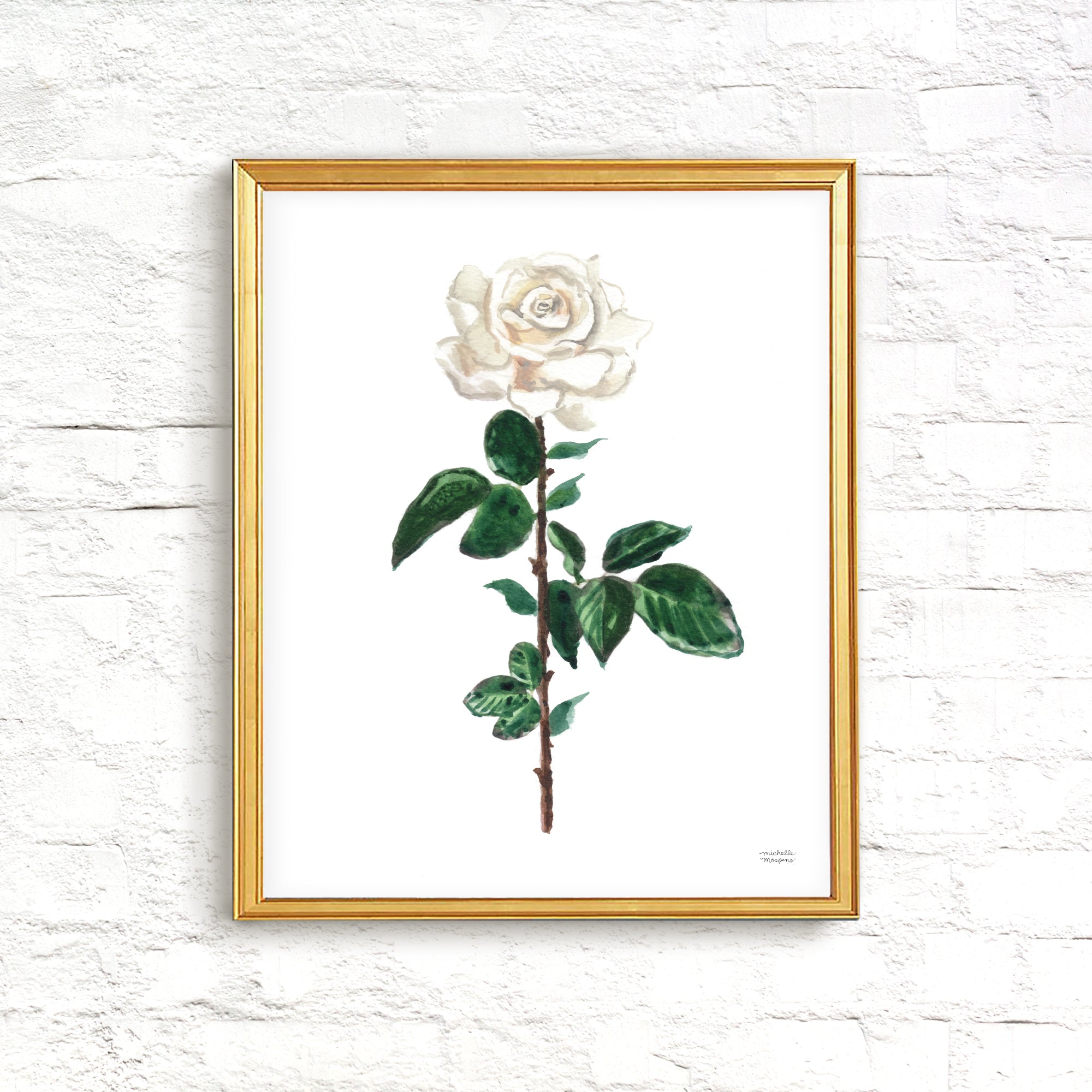 Watercolor White Rose Wall Art Print Unframed