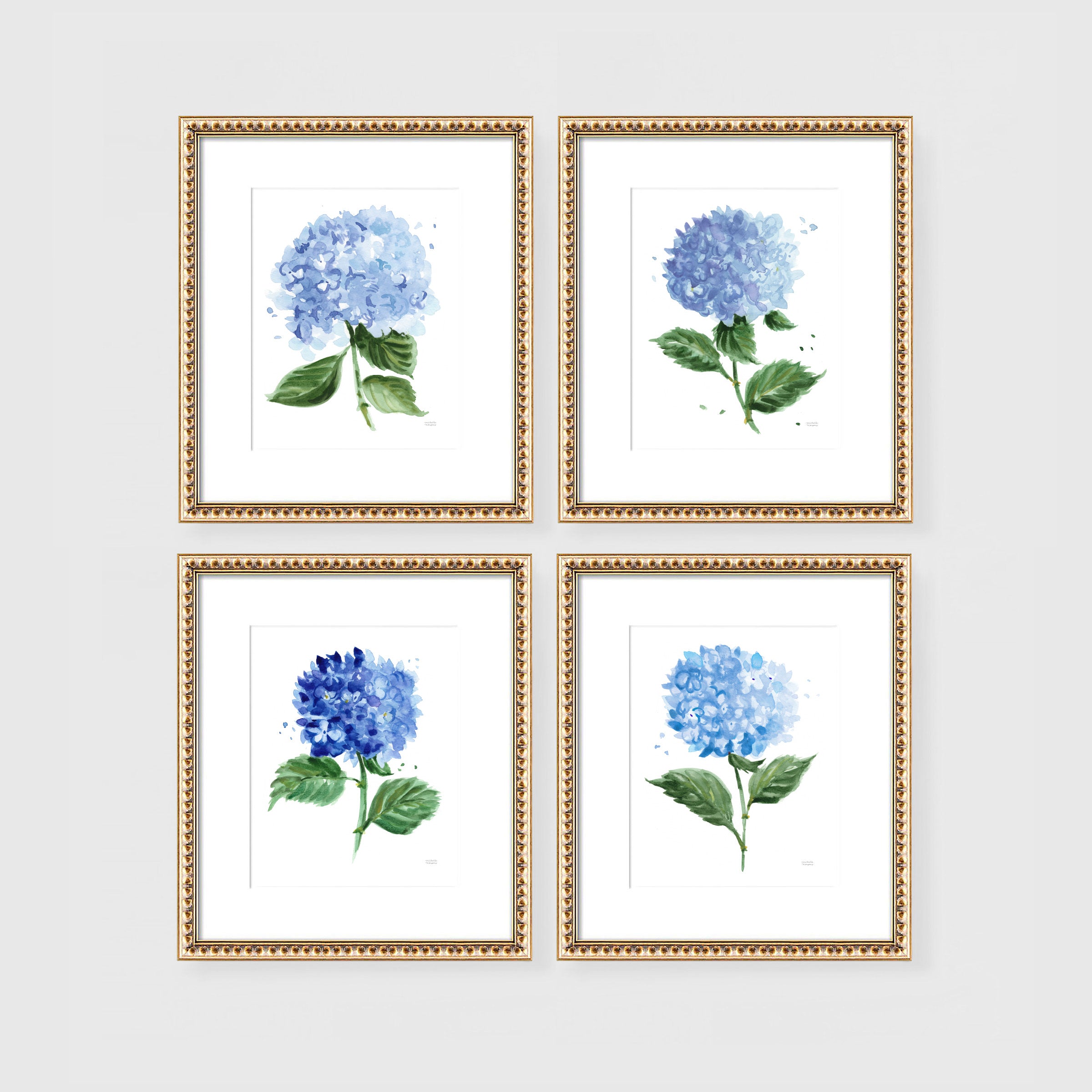 Hydrangeas Botanical Watercolor Floral Wall Art Prints Set of 4