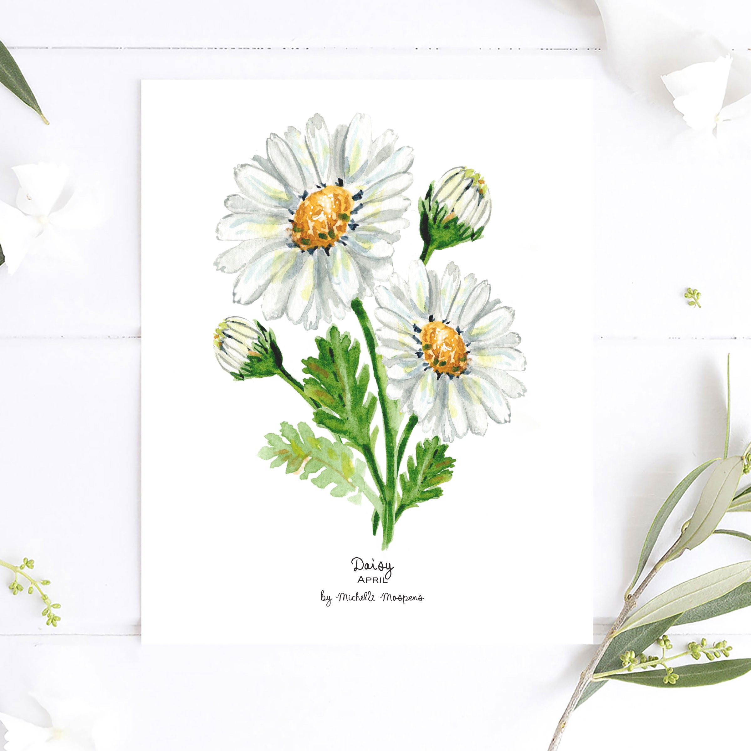 Daisy April Birth Month Flower Watercolor Wall Art Print by Michelle Mospens