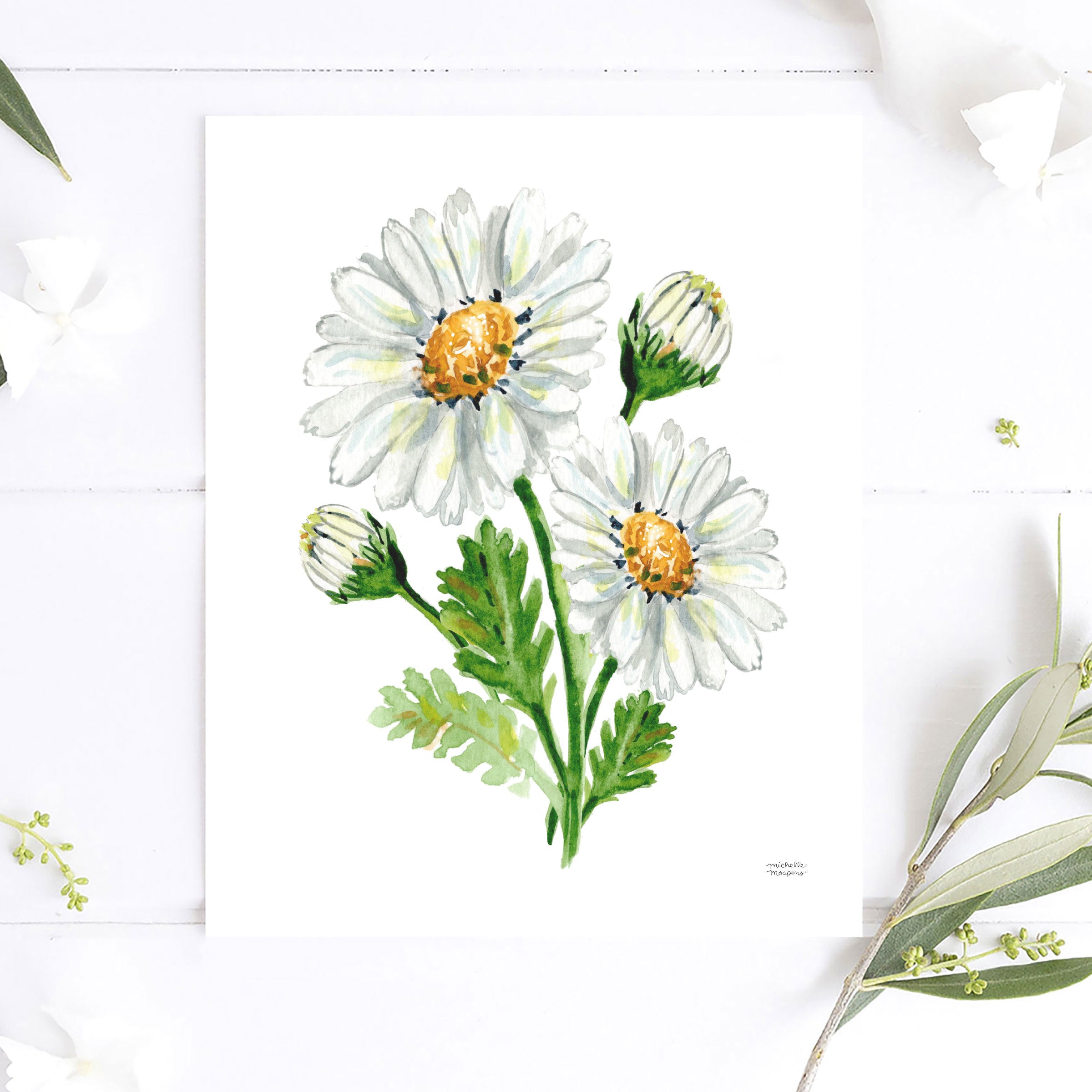 Daisy Flowers Botanical Floral Watercolor Wall Art Print by Michelle Mospens