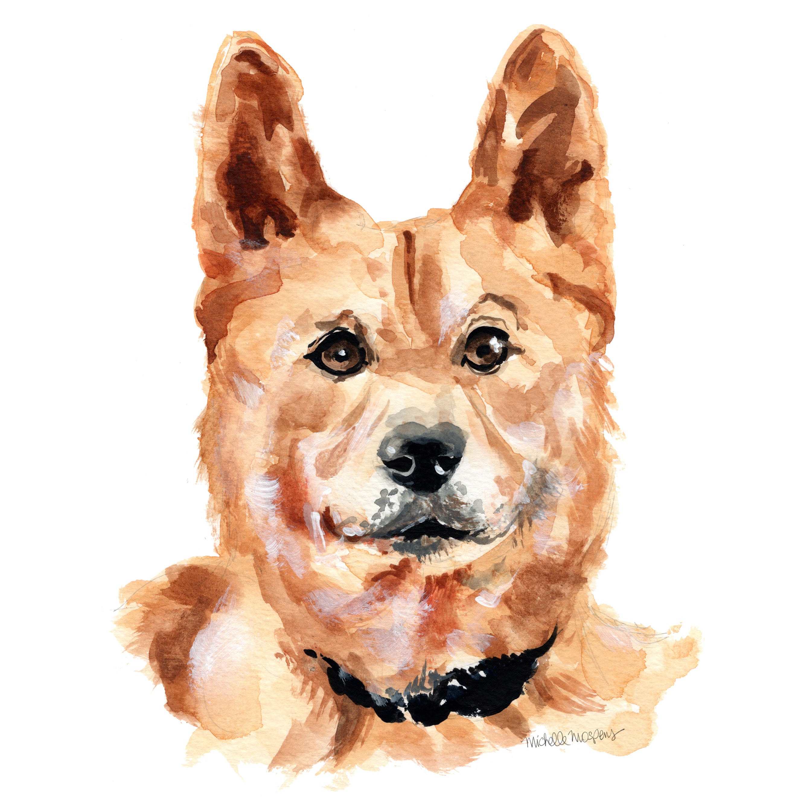 Custom Hand-painted Pet Portrait Illustration