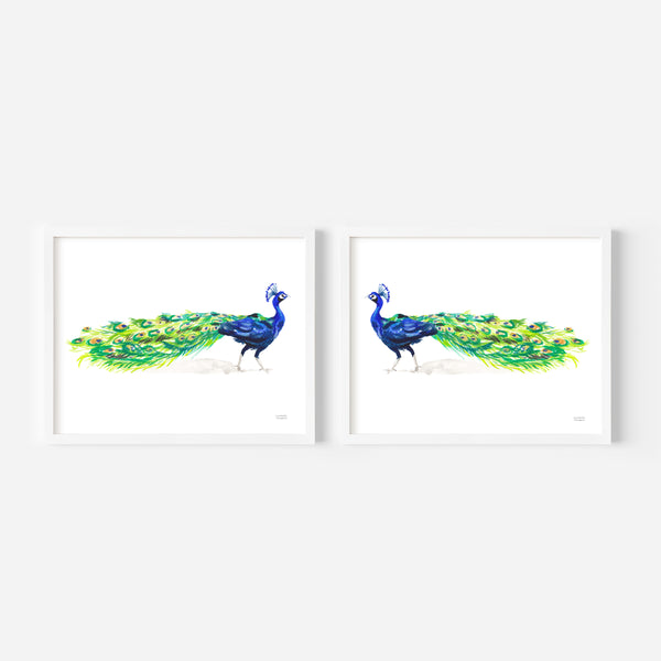 Watercolor Peacock Birds Art Print Set of 2 by Michelle Mospens