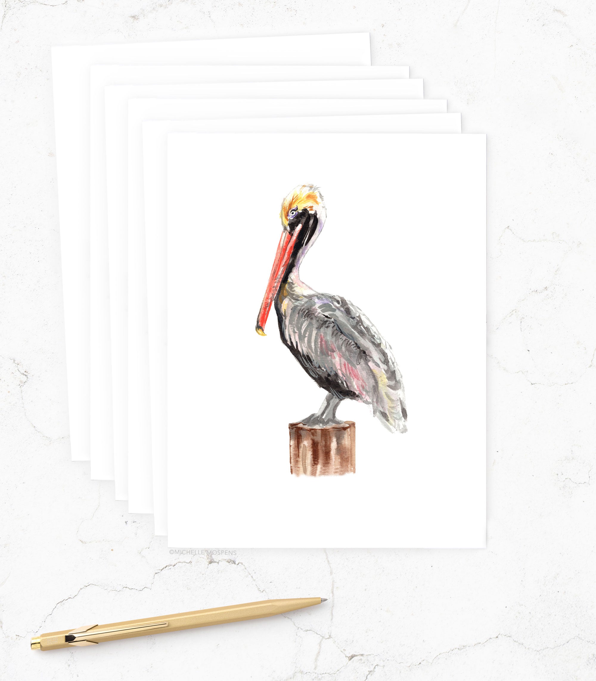 Watercolor Pelican Bird Coastal Card Set by Michelle Mospens