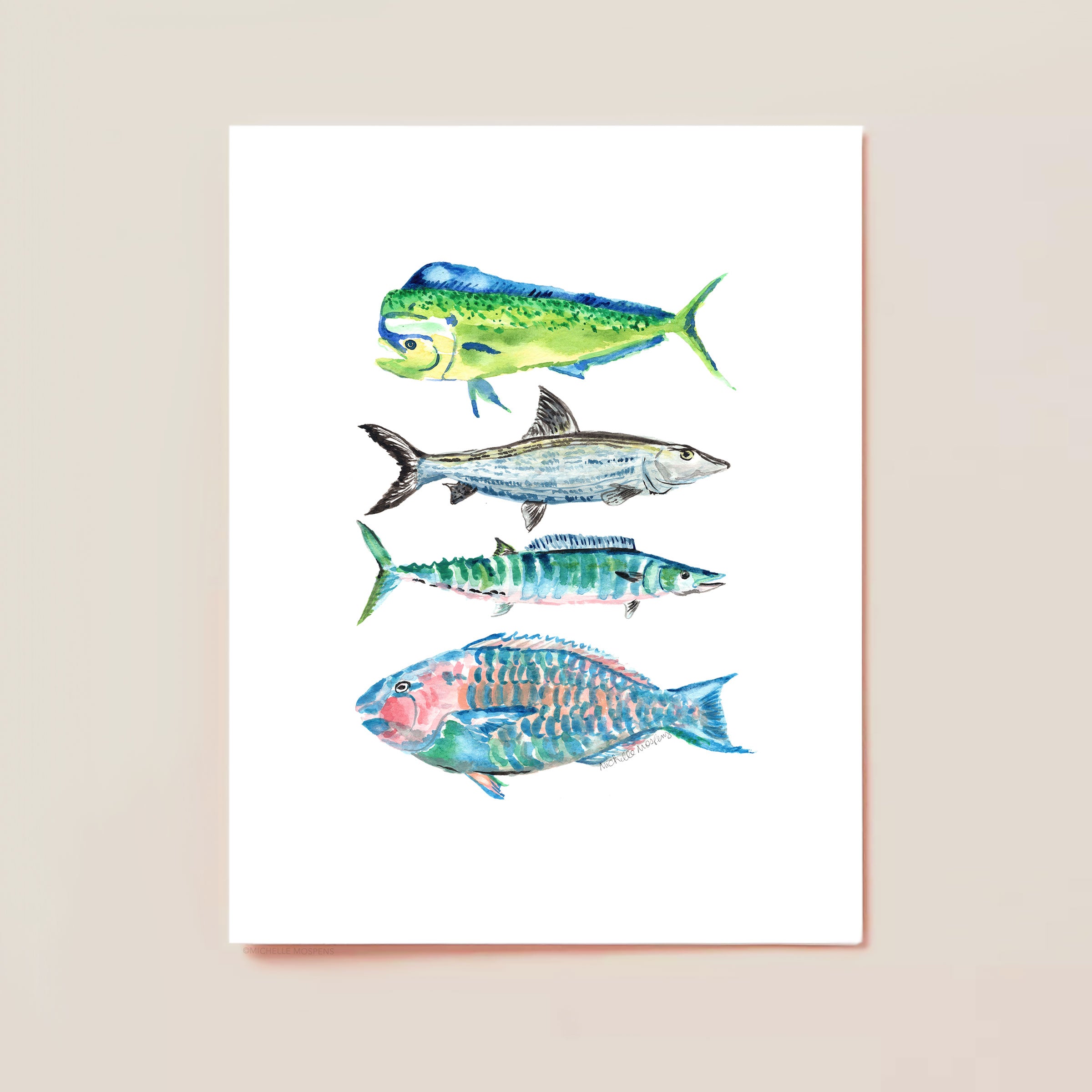 Illustrated Fish Note Cards Set