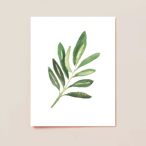 Watercolor Olive Branch Greenery No2 Card Set by Michelle Mospens