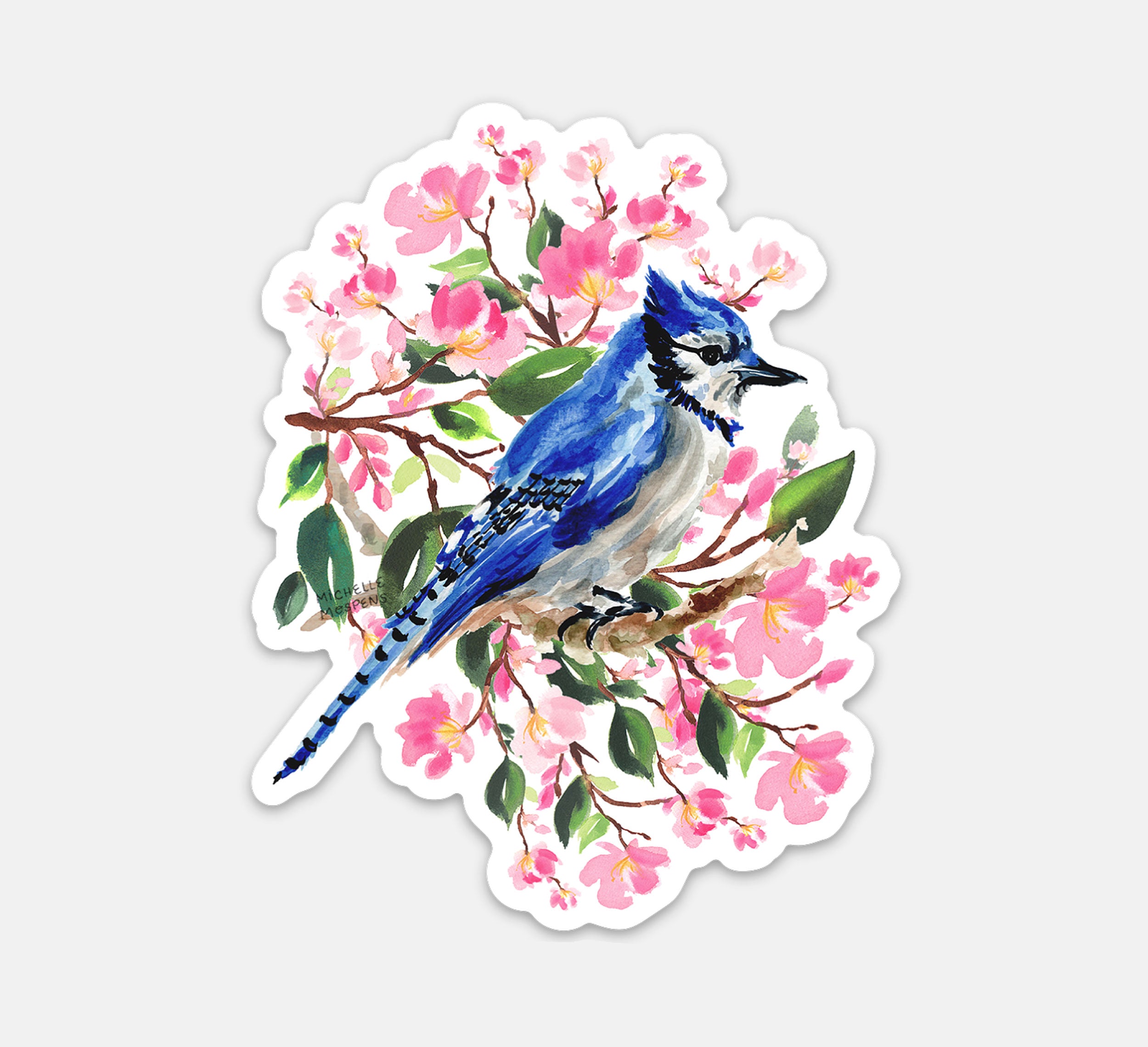 Blue Jay Bird in Cherry Blossoms Watercolor Illustrated Die-cut Sticker
