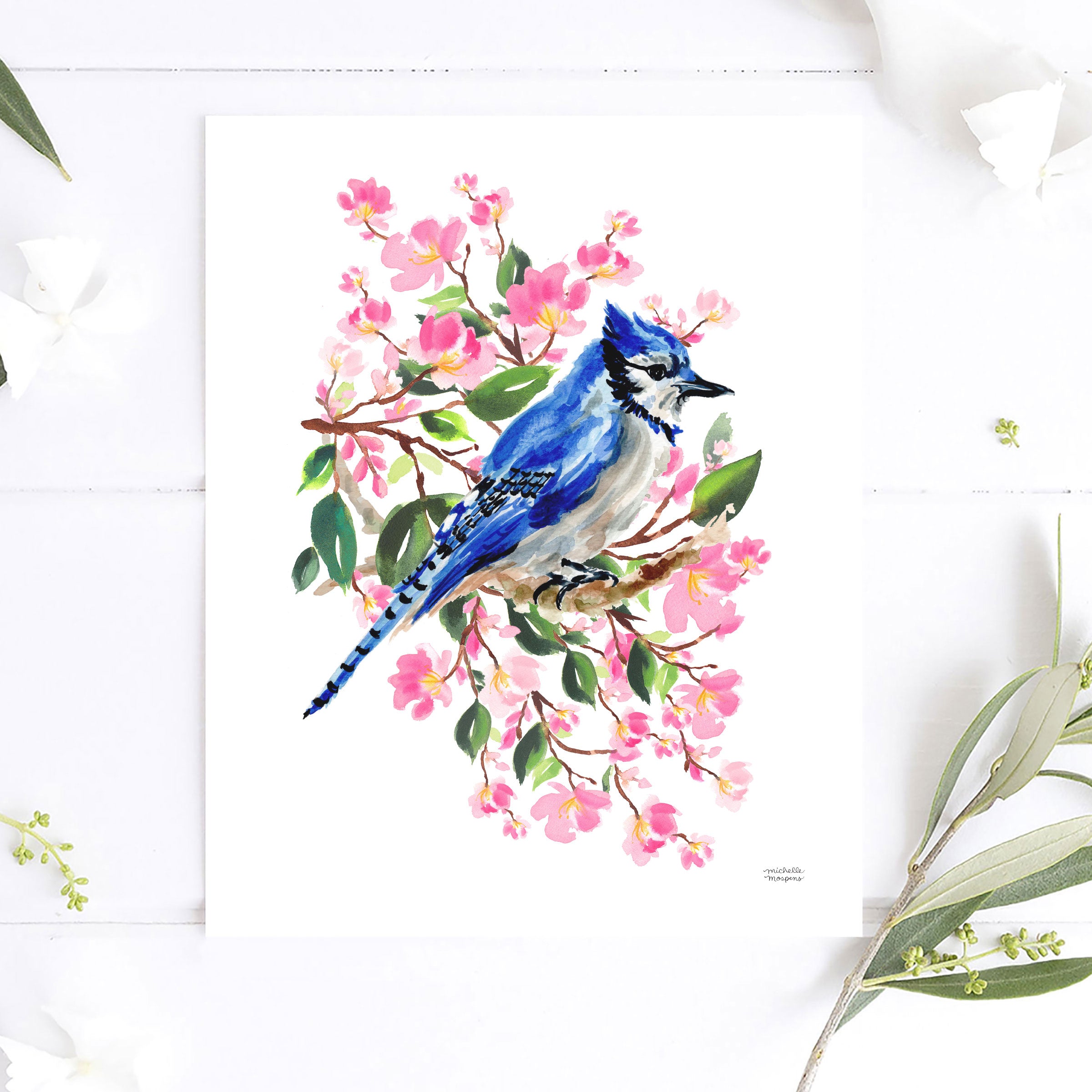 Blue Jay Bird and Cherry Blossoms Watercolor Wall Art Print by Michelle Mospens, Unframed