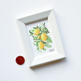 Miniature Watercolor Lemons Art Painting Framed Print by Michelle Mospens | Mini Framed Fruit Artwork Gift
