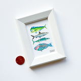 Miniature Fish Coastal Watercolor Art Painting Framed Print by Michelle Mospens | Mini Framed Fish Artwork