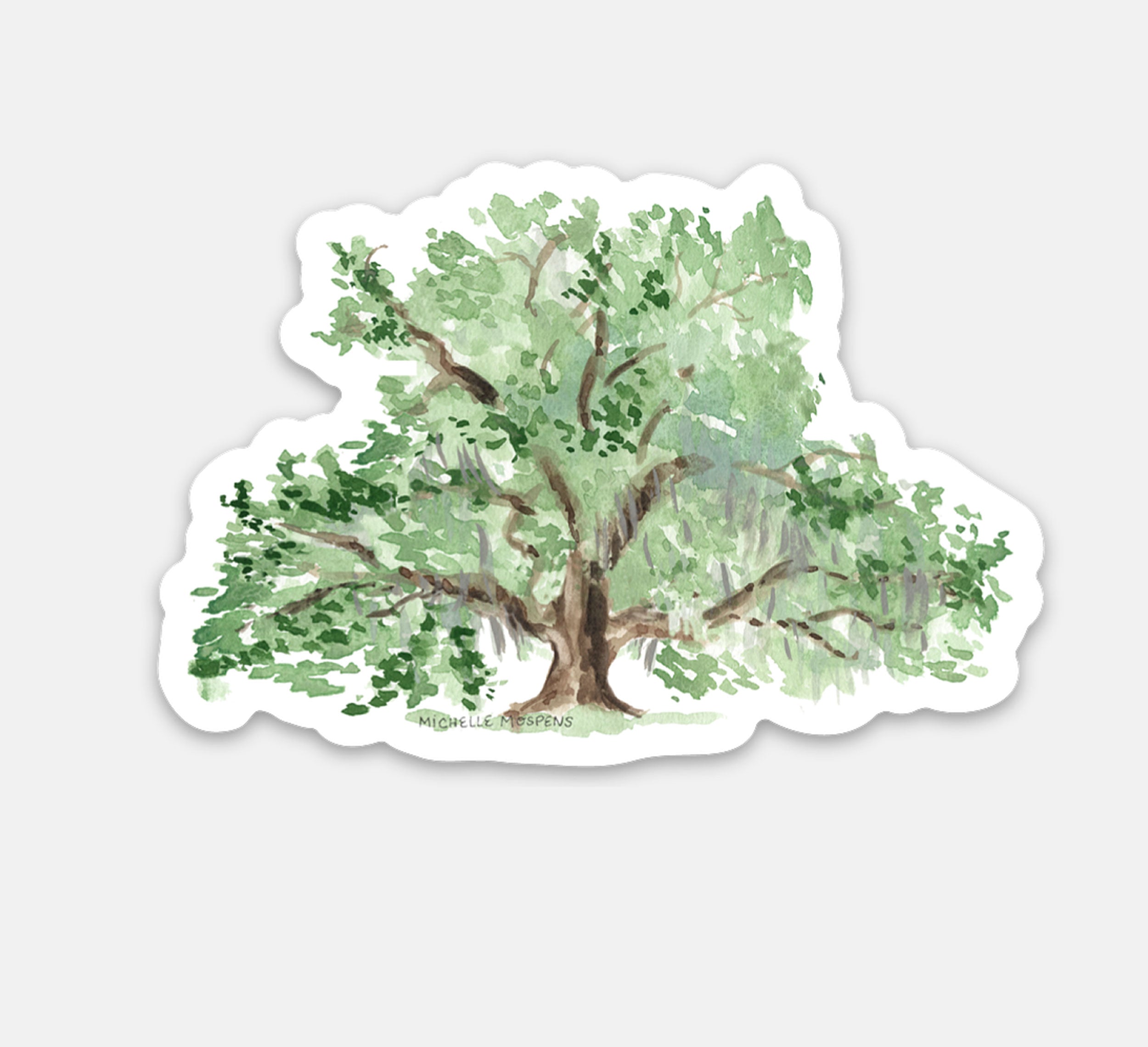 Southern Oak Tree Watercolor Illustrated Coastal Die-cut Sticker