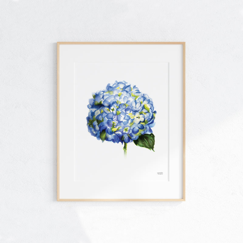 Blue Hydrangea Floral Watercolor Wall Art Print | Michelle Mospens