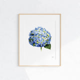 Blue Hydrangea Floral Watercolor Wall Art Print by artist Michelle Mospens.