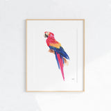 Watercolor Parrot Wall Art Print by Michelle Mospens