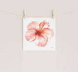Tropical Coral Hibiscus Flower Watercolor Print by artist Michelle Mospens