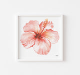 Tropical Coral Hibiscus Flower Watercolor Print by artist Michelle Mospens