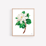 Gardenia flower watercolor painting art print by artist Michelle Mospens.