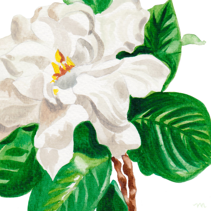 Gardenia flower watercolor painting art print by artist Michelle Mospens.