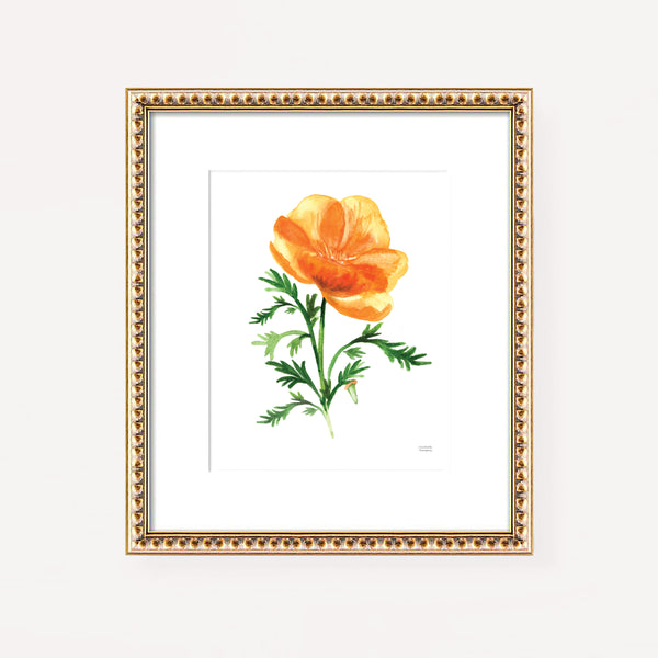 California Golden Poppy Watercolor Floral Wall Art Print