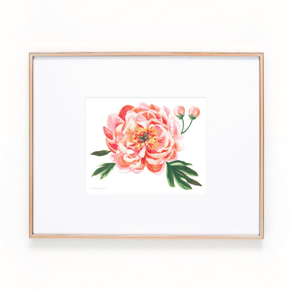 Peach Peony Floral Art Print
