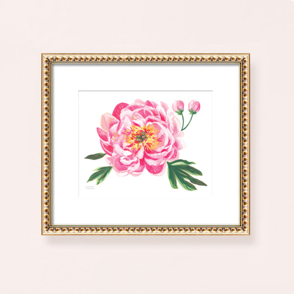 Watercolor pink peony bloom flower wall art print.