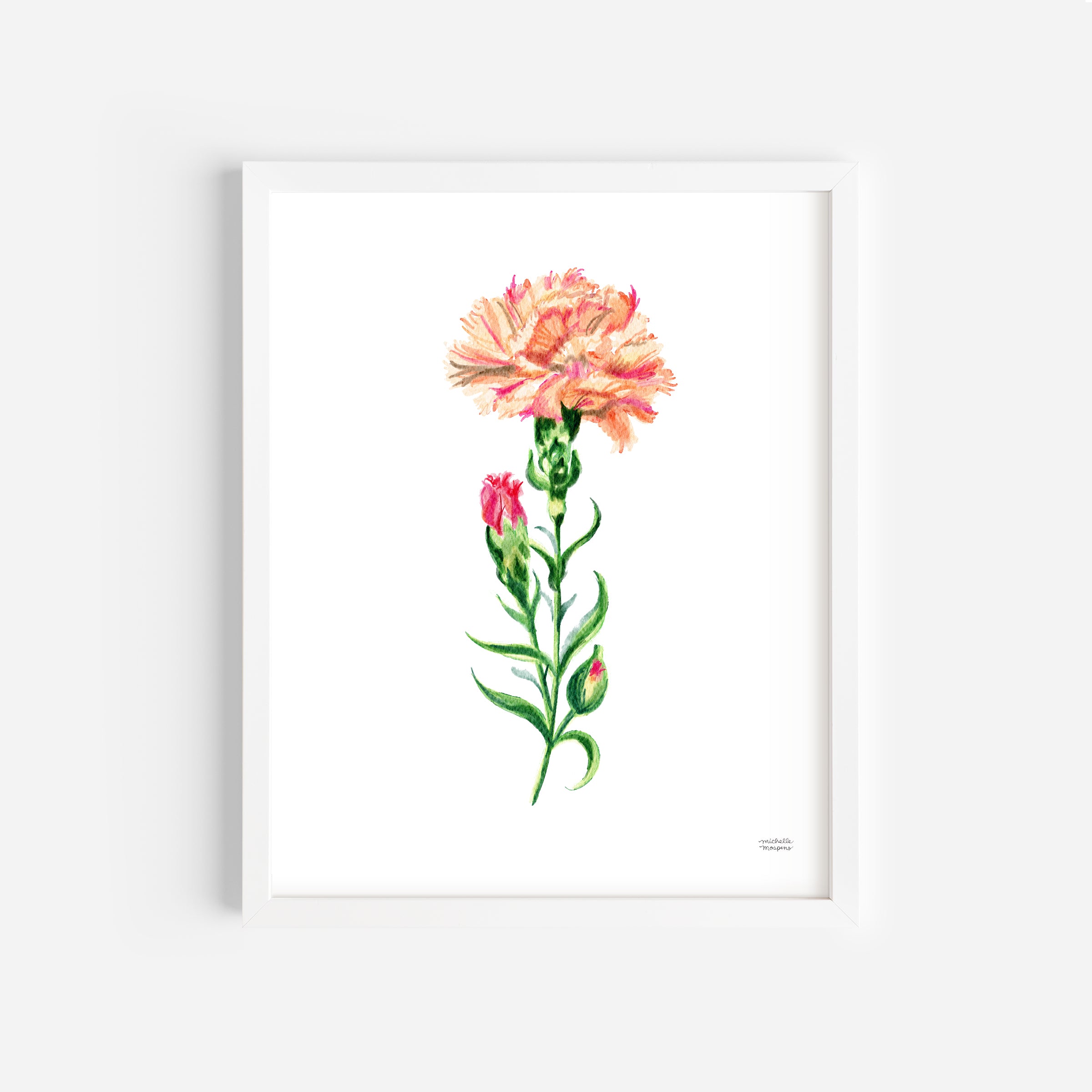 Peach Carnation Flower Art Print Unframed
