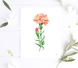 Peach Carnation Flower Art Print Unframed