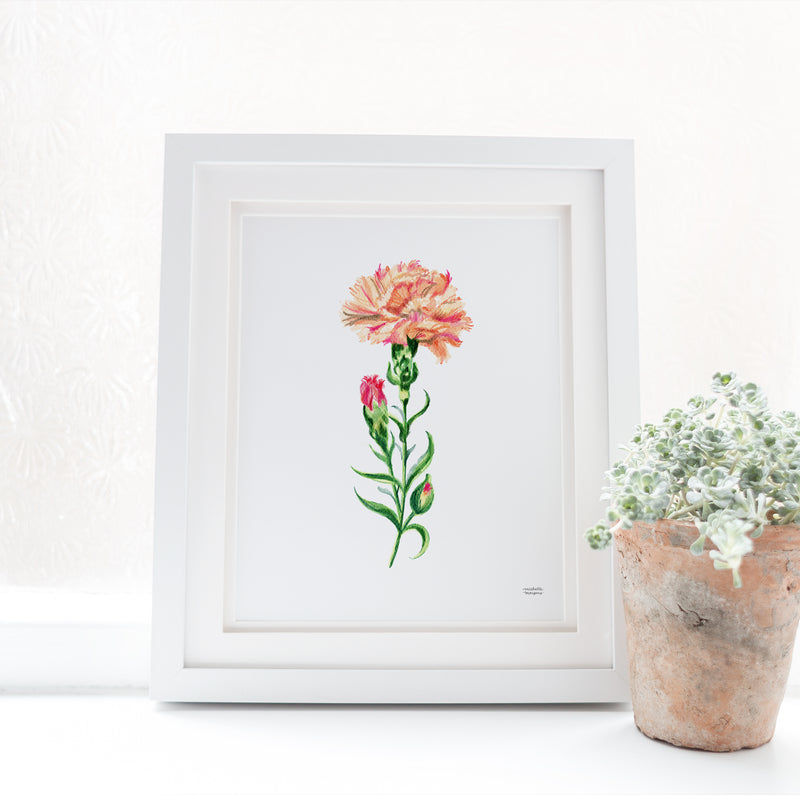 Peach Carnation Flower Art Print Unframed