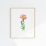 Peach Carnation Flower Art Print Unframed