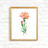 Peach Carnation Flower Art Print Unframed
