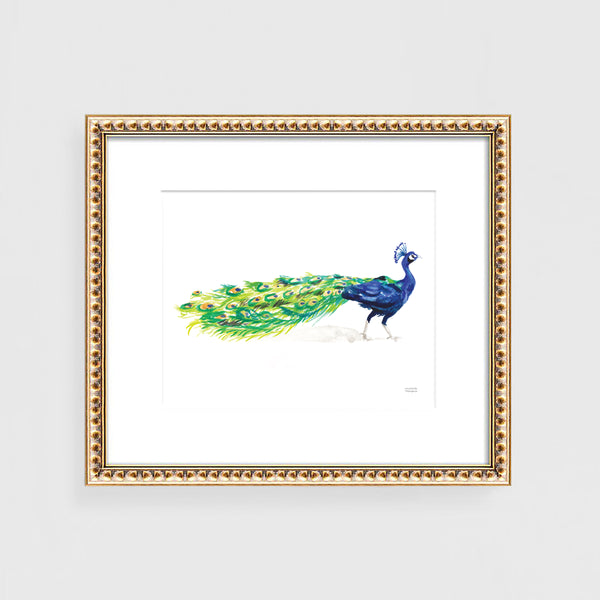 Watercolor Peacock Wall Art Print